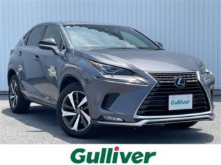 2021 LEXUS NX 300 Spice &amp; Chic