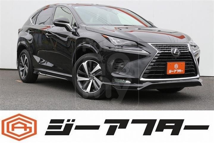 2021 LEXUS NX 300 Special Spices &amp; Chic