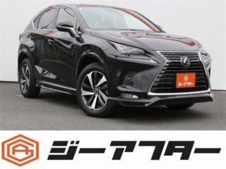 2021 LEXUS NX 300 Special Spices &amp; Chic