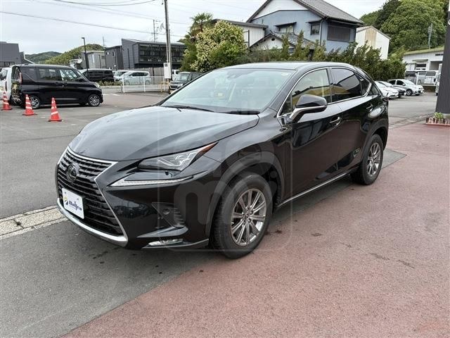 2021 LEXUS NX 300 i Package