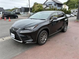 2021 LEXUS NX 300 i Package
