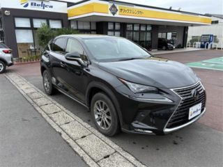 2021 LEXUS NX 300 i Package photo 3