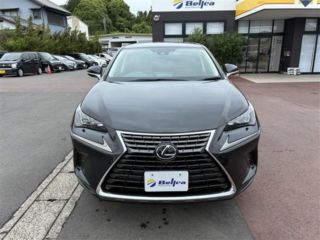 2021 LEXUS NX 300 i Package photo 2