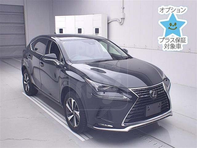 2021 LEXUS NX Spice &amp; Chic