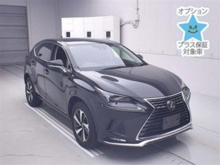 2021 LEXUS NX Spice &amp; Chic