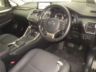 2021 LEXUS NX Spice &amp; Chic photo 3