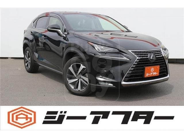 2021 LEXUS NX ★300 I Package