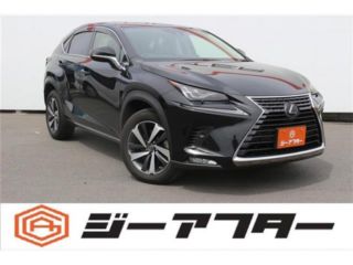 2021 LEXUS NX ★300 I Package