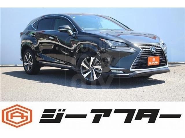 2021 LEXUS NX ★300 Spice &amp; Chic