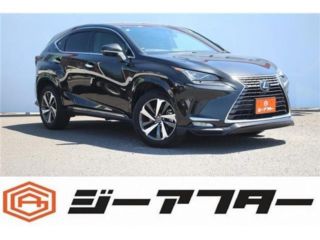 2021 LEXUS NX ★300 Spice &amp; Chic