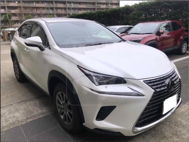 2021 LEXUS NX NX300 I Package