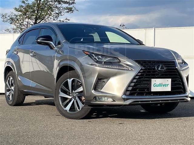 2021 LEXUS NX 300 Spice &amp; Chic 4WD