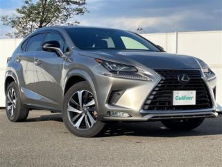 2021 LEXUS NX 300 Spice &amp; Chic 4WD