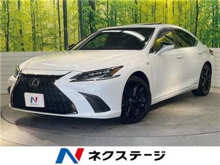 2021 LEXUS ES ES300h F Sport photo 4