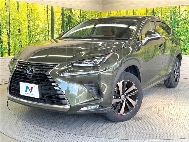 2021 LEXUS NX NX300h Version L