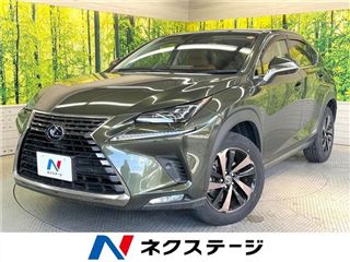 2021 LEXUS NX NX300h Version L photo 4