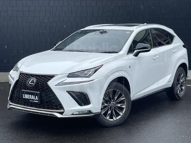2021 LEXUS NX 300h Cool &amp; Bright
