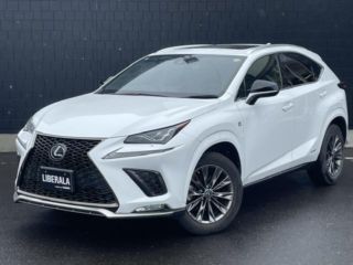 2021 LEXUS NX 300h Cool &amp; Bright