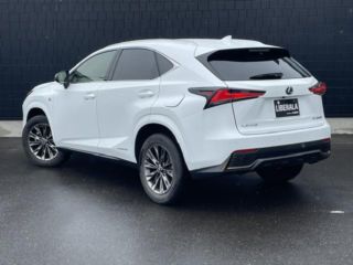 2021 LEXUS NX 300h Cool &amp; Bright photo 2
