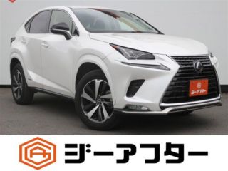 2021 LEXUS NX 300h Spice &amp; Chic