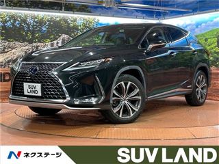 2021 LEXUS RX RX450h Version L photo 4