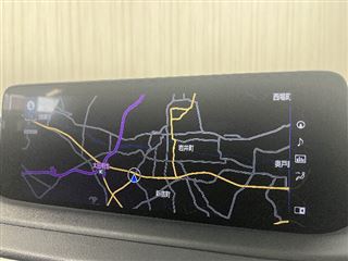 2021 LEXUS RX RX450h “version L” 5 people photo 5