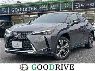 2022 LEXUS UX Version L