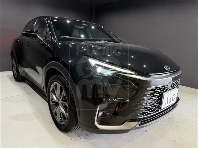 2024 LEXUS LBX relax