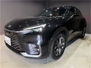 2024 LEXUS LBX relax photo 3