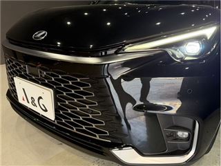 2024 LEXUS LBX relax photo 4