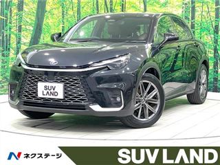 2024 LEXUS LBX relax photo 4