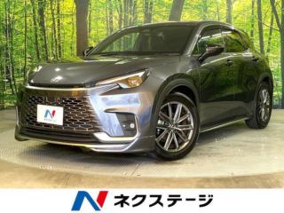 2024 LEXUS LBX relax
