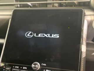 2024 LEXUS LBX relax photo 3