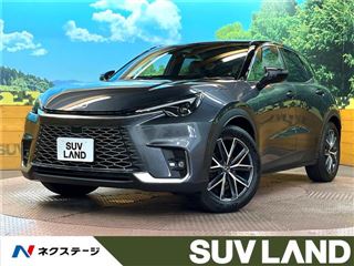 2024 LEXUS LBX cool photo 4