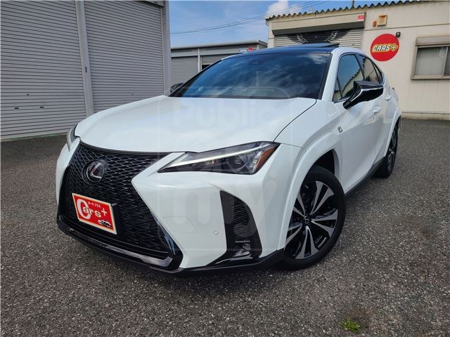 2022 LEXUS UX UX200 F Sport Emotional Explorer Special Edition