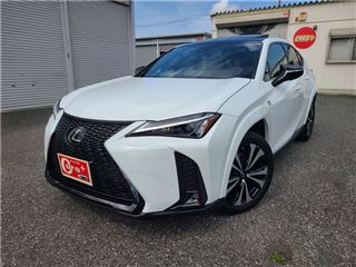 2022 LEXUS UX UX200 F Sport Emotional Explorer Special Edition