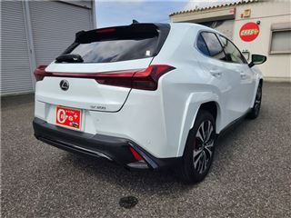 2022 LEXUS UX UX200 F Sport Emotional Explorer Special Edition photo 2