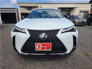 2022 LEXUS UX UX200 F Sport Emotional Explorer Special Edition photo 4