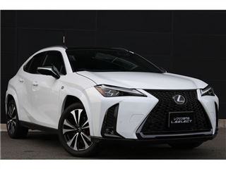 2022 LEXUS UX UX200 F Sport Emotional Explorer photo 4