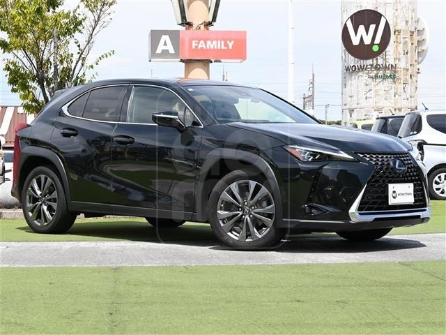 2021 LEXUS UX 200 Version C