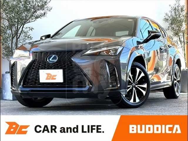 2022 LEXUS UX Hybrid UX250h F Sport Emotional Explorer