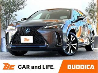 2022 LEXUS UX Hybrid UX250h F Sport Emotional Explorer