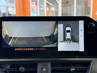 2022 LEXUS UX Hybrid UX250h F Sport Emotional Explorer photo 4