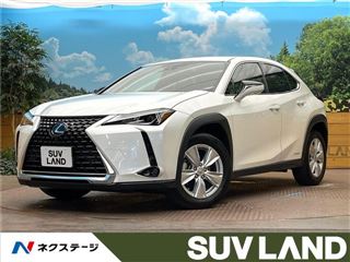 2022 LEXUS UX UX250h Version C photo 4