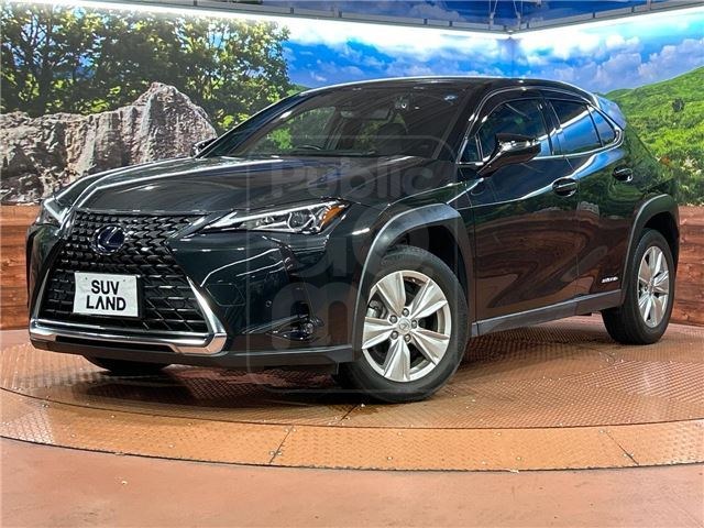 2021 LEXUS UX UX250h