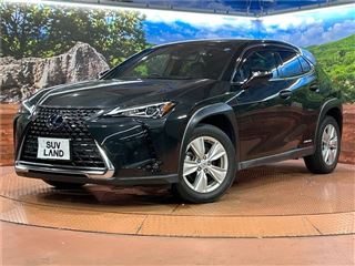 2021 LEXUS UX UX250h