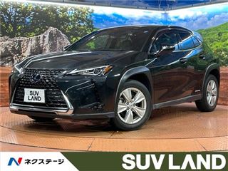 2021 LEXUS UX UX250h photo 4