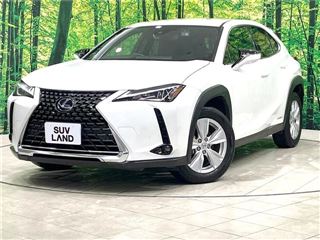 2021 LEXUS UX UX250h Version C