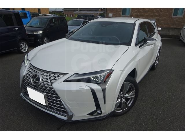 2023 LEXUS UX UX250h Special Edition Graceful Explorer