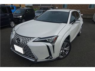 2023 LEXUS UX UX250h Special Edition Graceful Explorer